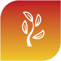start-up yellow